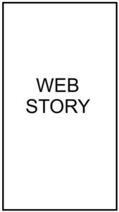 WEBSTORY1